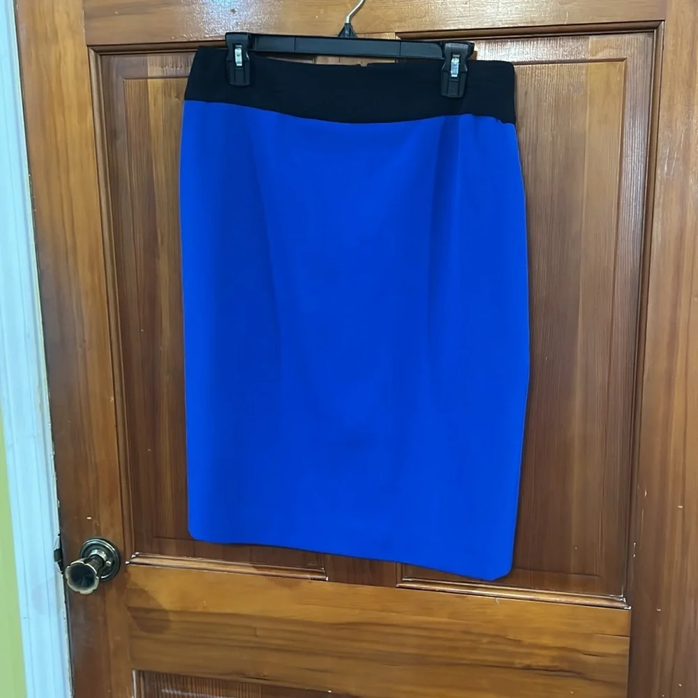 Women’s Lined Kasper Blue and Black Skirt Size 12
